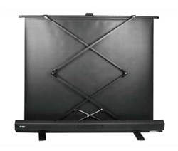 Экран Cactus FloorExpert CS-PSFLE-200x150 99" 4:3 напольный (200x150 см.) - фото 12176