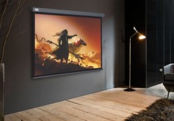 Экран Cactus Wallscreen CS-PSW-213X213-SG 1:1 настенно-потолочный белый, корпус серый (213x213 см.) - фото 17561