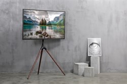 Подставка для телевизора Cactus CS-ST1246BKWN черный/орех 45"-65" макс.32кг напольный - фото 20892