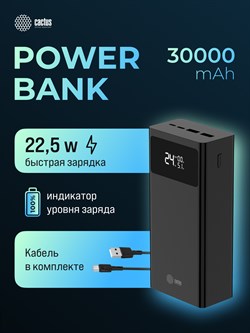 Мобильный аккумулятор Cactus CS-PBFSKA-30000 30000mAh 22.5W 4.5A USB-A/USB-C черный - фото 24630
