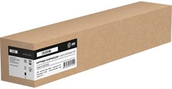 Лазерный картридж Cactus CS-EXV60 (4311C001) черный для Canon iR 2425, 2425i с чипом  (10'200 стр.) - фото 24899