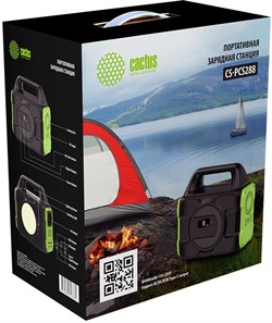 Электростанция портативная Cactus CS-PCS288 80000mAh 2.1A 3xUSB черный - фото 24911