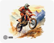 Коврик для мыши Cactus Motobike 250x200x3мм (CS-MP-D12S)