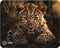 Коврик для мыши Cactus Leopard 250x200x3мм (CS-MP-D06S) - фото 21707